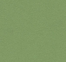 Линолеум Forbo Bulletin Board 2213 baby lettuce фото 1 | FLOORDEALER